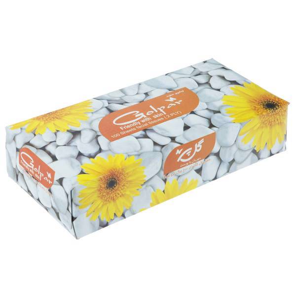 دستمال کاغذی 100 برگ گلپر مدل Abnoos، Golpar Abnoos 100 Paper Tissues