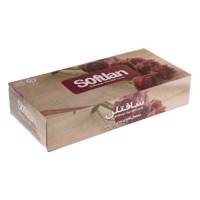 دستمال کاغذی 100 برگ سافتلن مدل Rose Softlan Rose 100 Paper Tissues