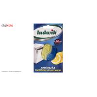 خوشبو کننده محفظه ماشین ظرفشویی لودویک Ludwik Dishwasher Air Freshener